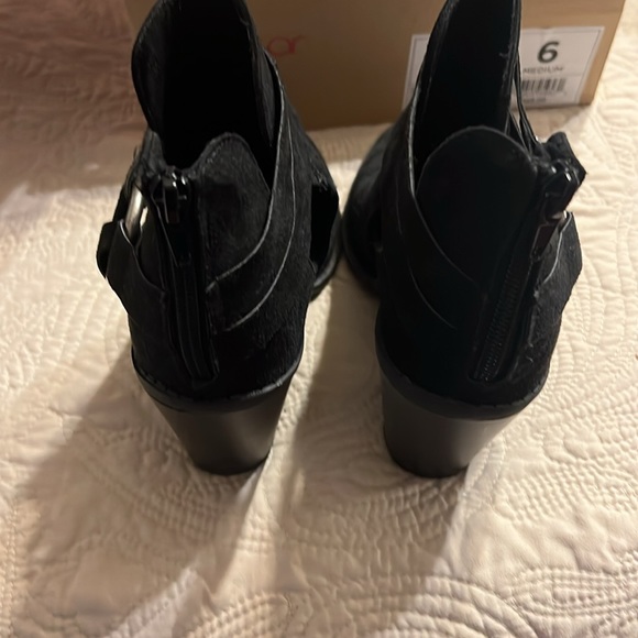 Sugar - Picture 4 of 5